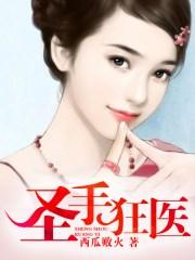 圣手医圣免费阅读全文